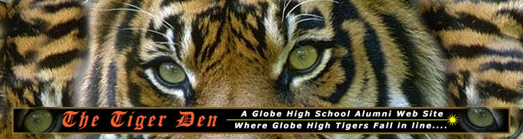 The Tiger Den header image